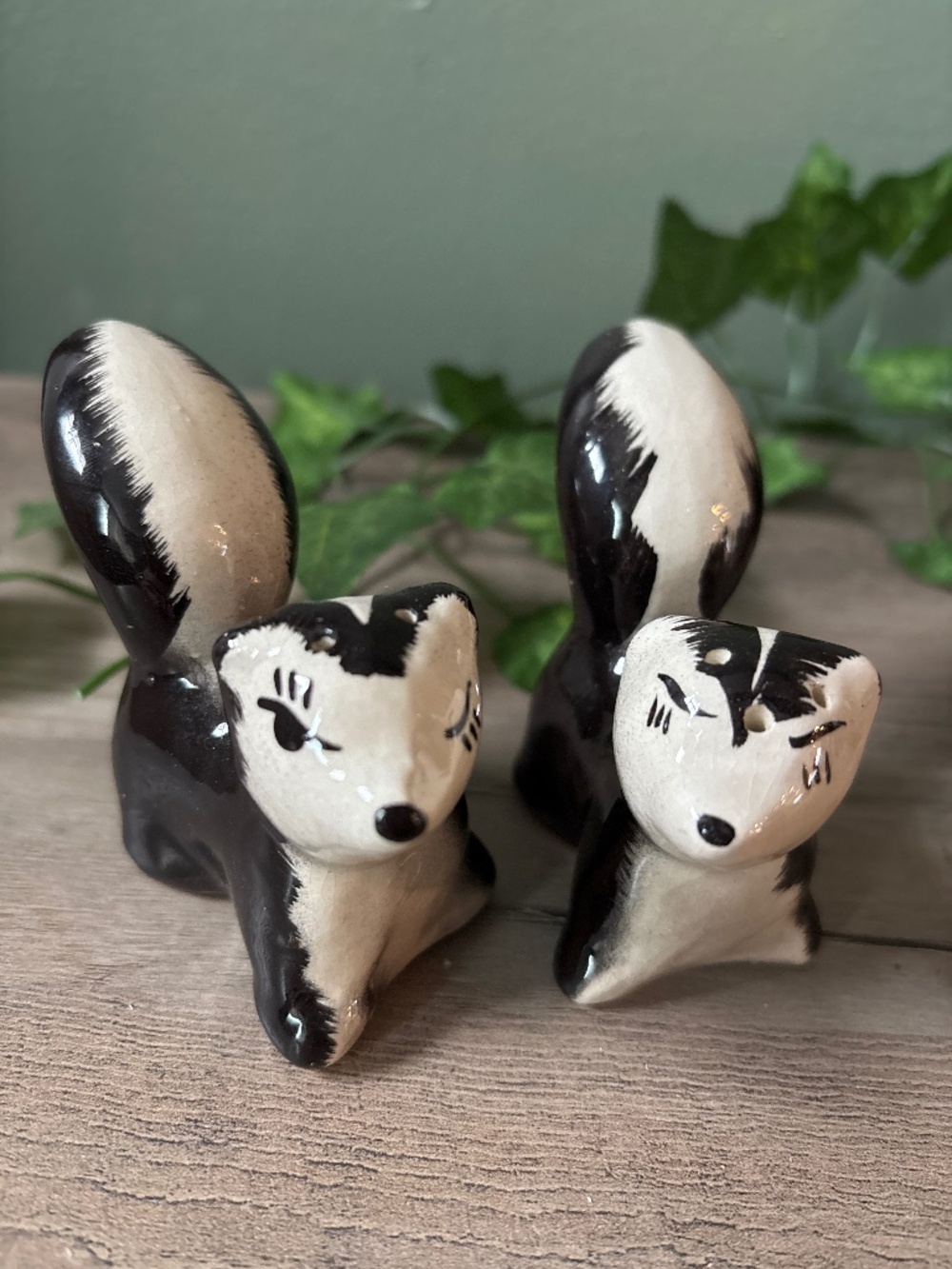 Skunk salt and pepper shakers